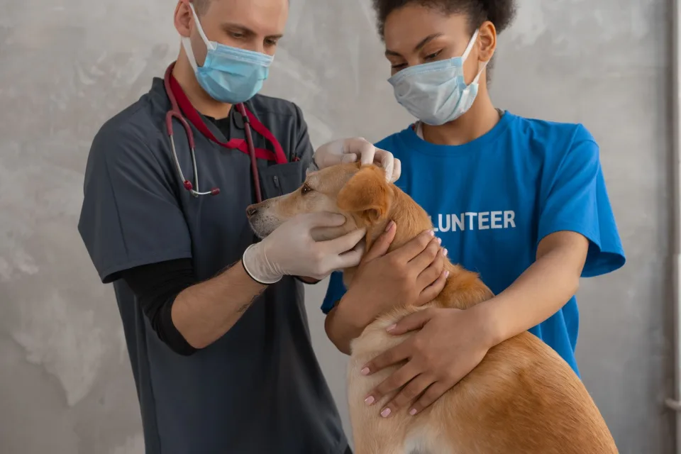 Hình ảnh tại Phòng Khám Thú Y Đà Nẵng City Pet 5